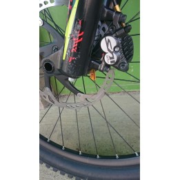 LMX 81